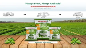 Frozen Matar: The Existing Market of Frozen Foods in India